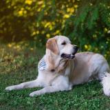 b457d07c0ea516042c228ac6fce779f5_160x160_fill