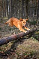 b488dfedbfbf9b270bcff3bee3aeadc6_130x195