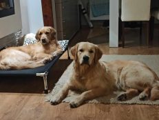 b507376f49de82833a81c07b0a67675a_231