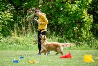 b525d6850220b482bbc1f057cd741423_194