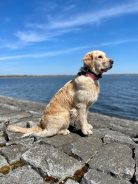 b548b5c30778ec8f87d0307ad95ec132_138x184_fill