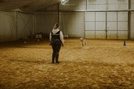 b56a4a392ee0cc43c1268051ac0b9b21_195x130_fill