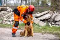 b63a6dadea78d9c270ea8e49a06461fe_195