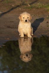 b661b436e98a928dbfcd3be760c29890_164x245