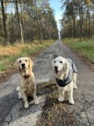 b6c0b2516fbe18439566a318867df172_138x184_fill