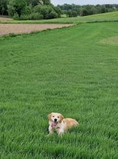 b6c0fafce6a41a59c3bce505ca06daf3_172x230