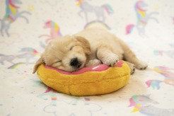 b73069017ec5e31ce006bcfb37ec59f4_246