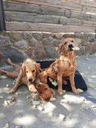 b73d13c7e2a49dcb1033c621a8a569b3_138x184_fill