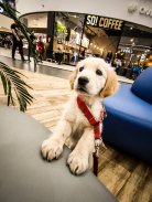 b77d0296fb2f5c82e635b2a029fe828b_138x183