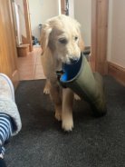 b7b0f2796ef4eccfb41920d8ea040f85_138x184_fill