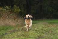 b7b2a0390327b54c9735517720c04ea7_193