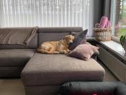 b8369bf30edbb9e704a1b9fb2309f080_184