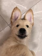 b87a516a32aaca1ce715ae1915935c97_138x184_fill