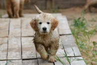 b886c2f616e1694dc13d982c45658ad9_195