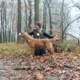 b8bc95c294a92bd60eed799013bf0d9f_160x160