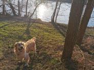 b9187365fba17acab349d18042408516_184x138_fill