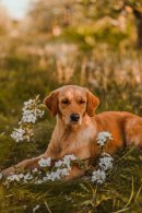 b92d0fb40ea90972bfda1b252f3bfc4c_130x195