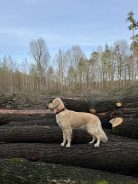 b93a2fe25f83cd03fe16ac35a21d02b4_138x184_fill