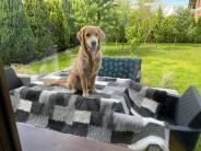 b986697062711bffa20be0260b557435_184x138_fill