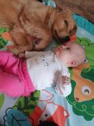 ba37d98aee9e100fca52cfa6633fff58_138x184_fill