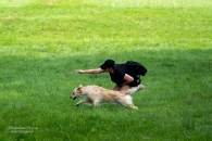 bab4e79d70ce59b865d9934944a809f1_195