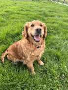 bb1dd2bb35c579a31b686233551ee221_138x184_fill