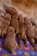 bb62ce550a4741c28f0ae8384a4c2903_130x195_fill