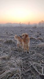 bb920ad5353139fc46d148c4d4f5f2b3_150x266