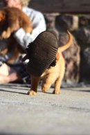 bbfd44882e4eb73f4363da772b9484f3_130x195_fill