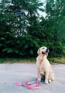 bc38e3cf4753c162c5fe8c238895de21_134x192