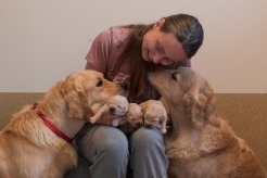 bc408da69ab254a6d368049c580dadf8_246