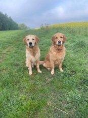 bc41bc903980c51b25993d605c1bf8e4_174x232_fill