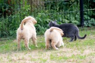 bc53c9e5093a5e332799aedcc01b8782_195x130_fill