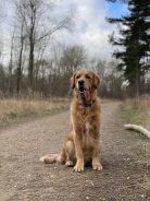 bc67ee09a08db0c25c2425f45e85130c_138x184_fill