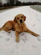 bc9bcf0ac9b5e6b52c8cecf14a325419_138x184_fill