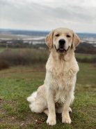 bcf130e5ef91bd247fb1389b3fab49b0_138x184_fill