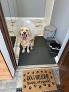 bd9516f458bd9aee27382e338358a5d6_138x184_fill