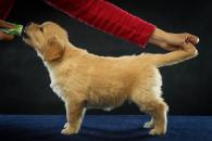 bdeae02950dd095c7b16920257942c1f_195