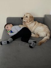 be437be657a3cf820a6f3cf1b8b936da_174x232_fill