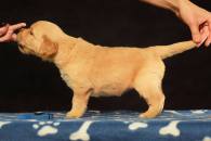 be889159ce1ceebb12c8855aed6d1487_195x130_fill