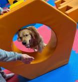 be9695c1e808ff7f431dbecf98bc54ac_156x164