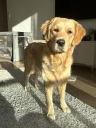 bf4cccaffc6a2b79f32c25c66c7d6091_138x184_fill