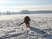 bf6c93f6b8d7610ea87a40f5af2eb134_184