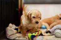 bf8f6e36ca86005df8da8f91456e92d1_195