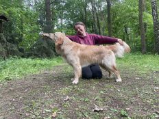 bf9524ecfe8c8716f6f68914c0952c49_232x174_fill