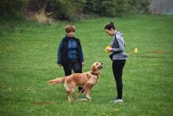 bfe1cbeb14bbb5ec1335c0833290cf59_194