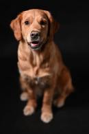 c042ef3a03cfd37c67c1b23c7bc3b945_130x195