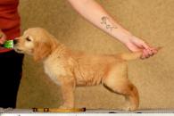 c068e27f40792d7b88c57a5367f70219_195x130_fill