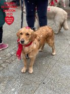 c094a2b7afba9758acdf114e3cc669c6_138x184_fill