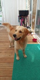 c14100079565d0770852ac9695ae1cbf_142x280